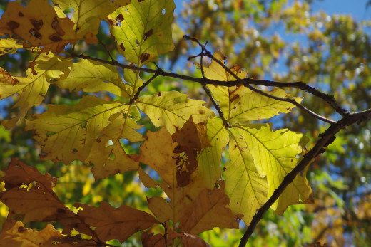 978196 (a): :2400x1601